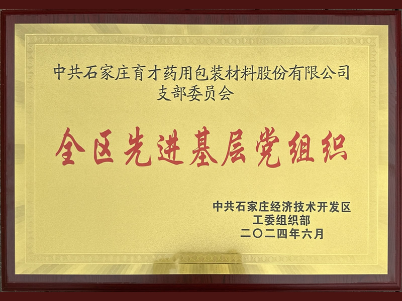 全區(qū)先進(jìn)基層黨組織